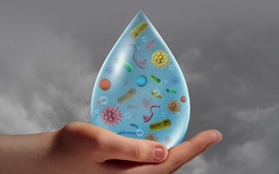 پیشگیری از بیماری‌های منتقله از طریق آب و غذا