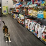 بهترین پت شاپ در تبریز